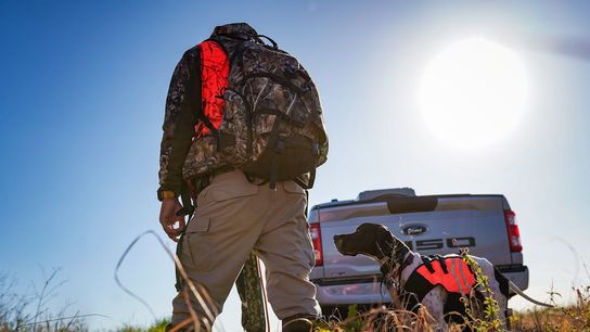 Delaware Turkey Hunting Season Expands with Extra Day; Season Opens in April